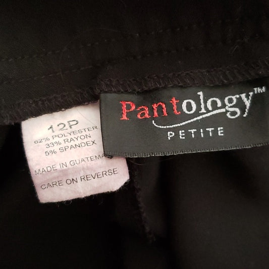 (12P) Pantology Petite Classic A-Line Office Workwear Formal Evening Classy