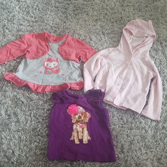 Bundle 12-18 Month Tops