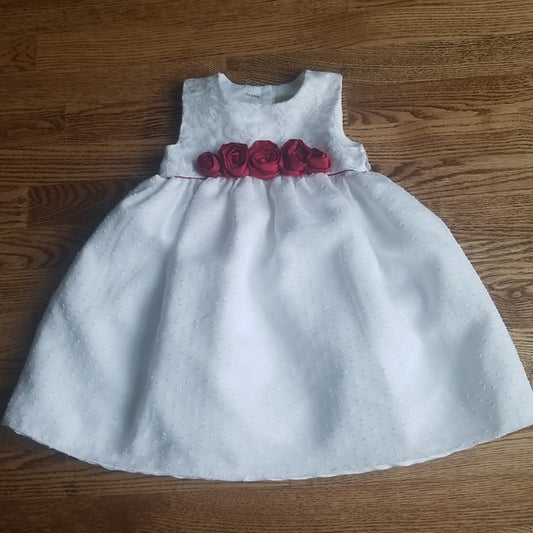(3T) Toddler Girl's Holiday Dress ❤ Fit and Flare ❤ Roses 🌹