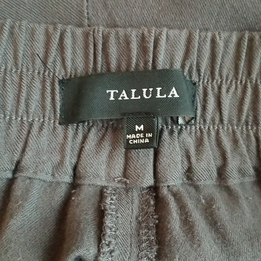 16.(M) Aritzia Talula 100% Rayon Loungewear Casual Jogging Pants Weekend Relaxed