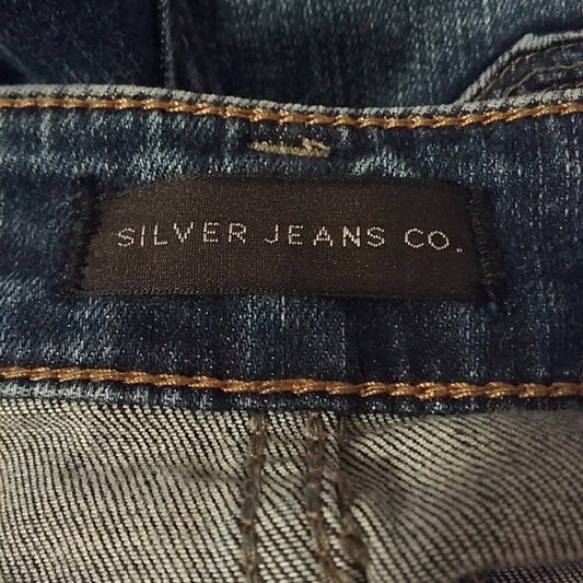 (26W/33L) Silver Jeans Co. Elyse Slim Bootcut Lightly Distressed Denim Modern