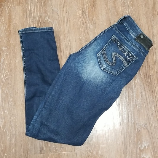 (26W/31L) Silver Jeans Co. Fluid Denim Suki Mid Rise Super Skinny Embellished