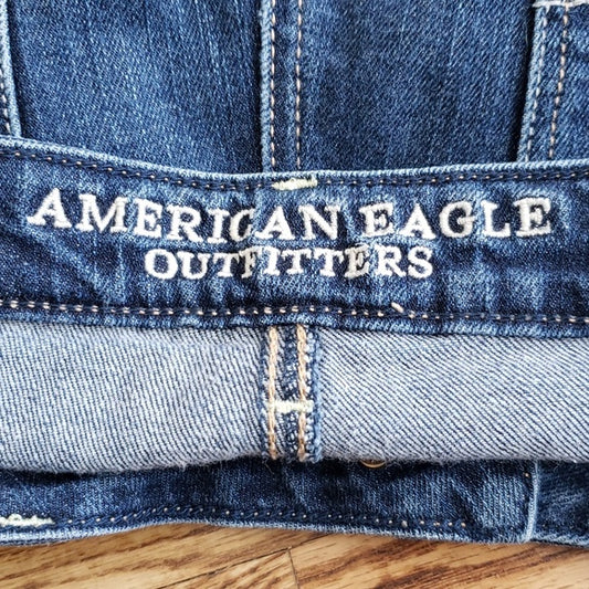 (12 Reg) American Eagle Outfitters AEO Skinny Fit Jean Classic Medium Wash Denim